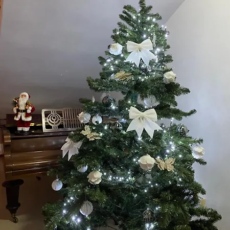 Guest house Casa Pino Brasov